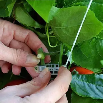 Поддержка растений Защищенная от ржавчины теплица вьющиеся растения виноградный крюк садовые инструменты
