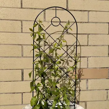 Шпалера для вьющихся растений Широко используется на открытом воздухе Отличный материал Садовая Шпалера Опора для вьющихся растений Лозы в горшках